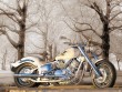 MC Custom Bikes - 01
