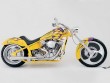 MC Custom Bikes - 28