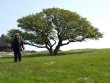 Bornholm 2012