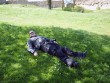 Bornholm 2012