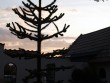 Bornholm 2012