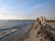 Frølunde Fed ved Korsør en hyggelig lørdag 2010