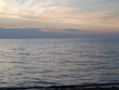 Frølunde Fed ved Korsør en hyggelig lørdag 2010