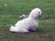 Frølunde Fed ved Korsør en hyggelig lørdag 2010