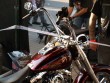 MC Træf - Harley-Davidson træf Roskilde 2008