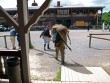 MC tur til Harzen i 6 dage i 2010