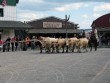 MC tur til Harzen i 6 dage i 2010