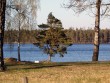 Dejlig tur til Markaryd i Lykke og Prebens sommerhus 2009