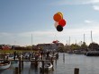 Stevns 2011