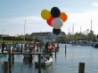 Stevns 2011
